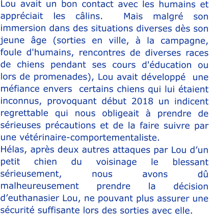 Lou avait un bon contact avec les humains et appréciait les câlins.  Mais malgré son immersion dans des situations diverses dès son jeune âge (sorties en ville, à la campagne, foule d'humains, rencontres de diverses races de chiens pendant ses cours d'éducation ou lors de promenades), Lou avait développé  une  méfiance envers  certains chiens qui lui étaient inconnus, provoquant début 2018 un indicent regrettable qui nous obligeait à prendre de sérieuses précautions et de la faire suivre par une vétérinaire-comportementaliste. Hélas, après deux autres attaques par Lou d’un petit chien du voisinage le blessant sérieusement, nous avons dû malheureusement prendre la décision d’euthanasier Lou, ne pouvant plus assurer une sécurité suffisante lors des sorties avec elle.