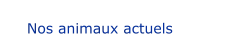 Nos animaux actuels